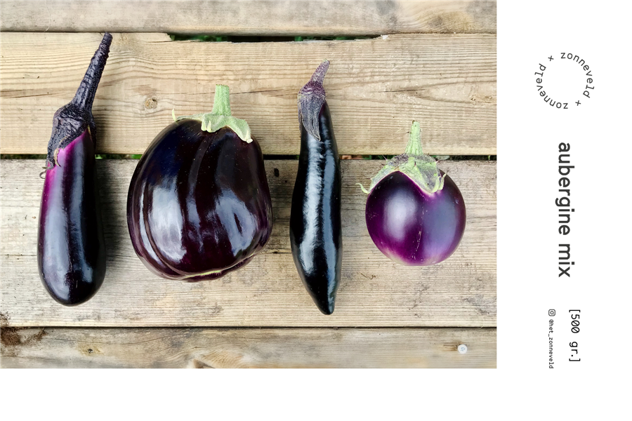 Speciale aubergine mix uit Kalmthout Het Zonneveld Webshop