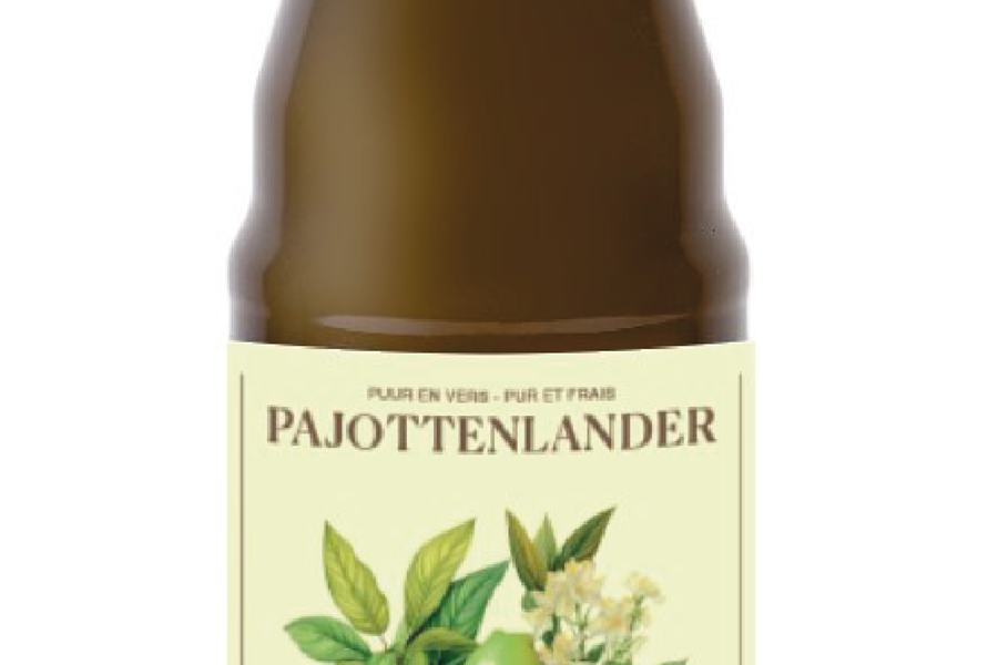 Pajottenlander Kombucha limoen gember bio 0,75L Kombucha Webshop