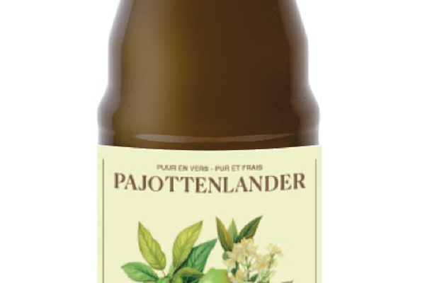 Pajottenlander Kombucha limoen gember bio 0,75L Kombucha Webshop